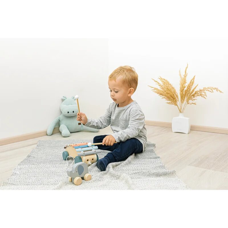 Zopa Wooden Pull Xylophone подвижен ксилофон от дърво 1 бр.